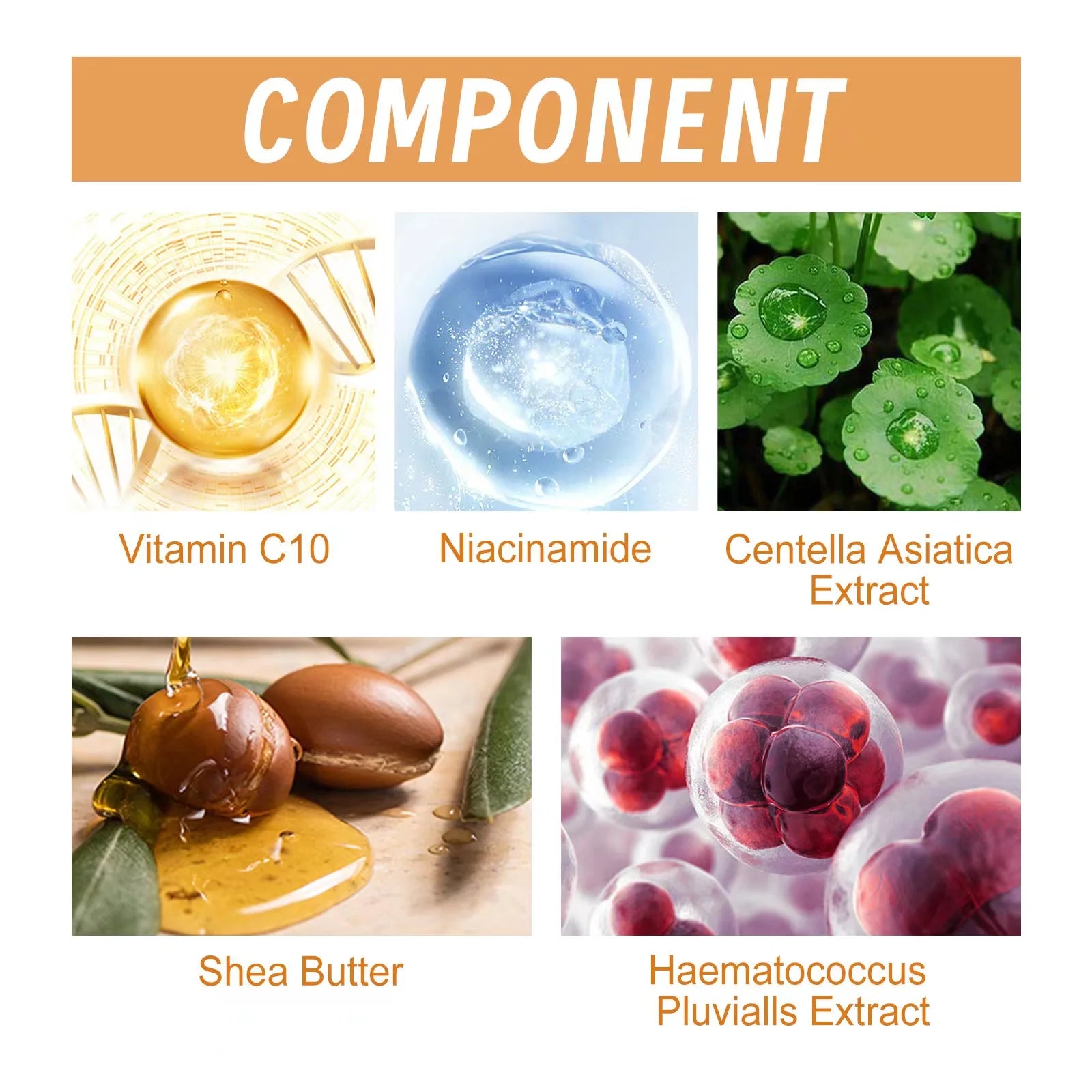 Vitamin C Face Serum – Anti-Aging & Brightening Essence