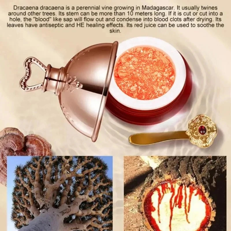 Dragon’s Blood Face Cream – Retinol & Placenta Skin Care