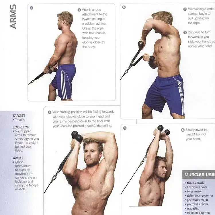 Tricep Rope Pulldown – Biceps, Back & Shoulder Attachment